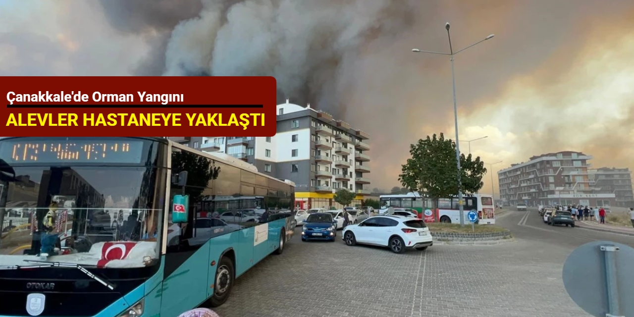 Çanakkale'de orman yangını: Alevler hastaneye yaklaştı