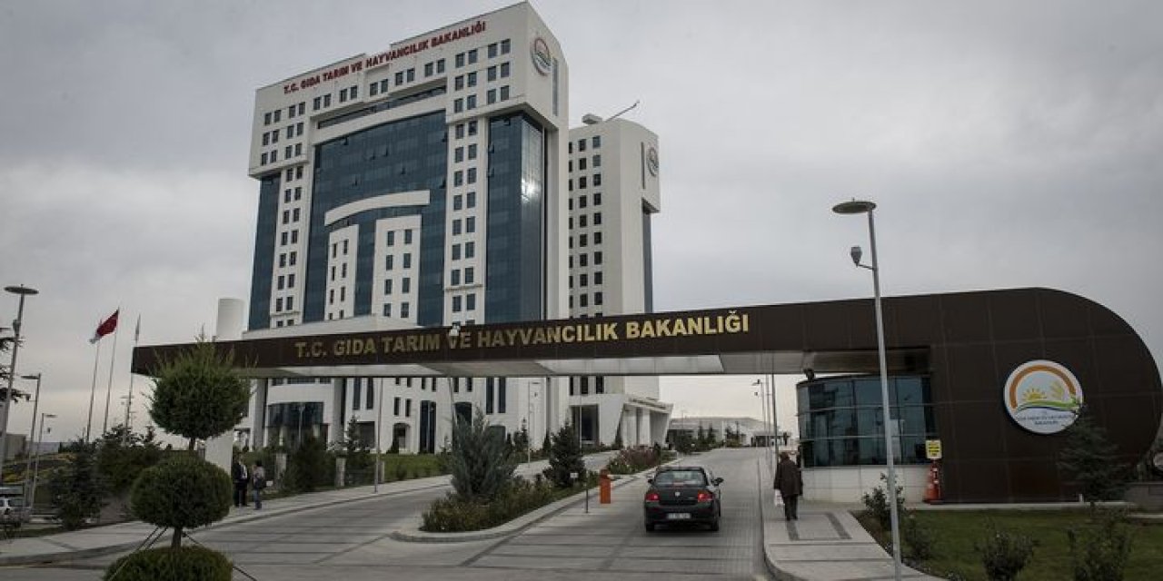 Mazot gübre, hububat, kırsal kalkınma ve tohum desteği hesaplara yattı