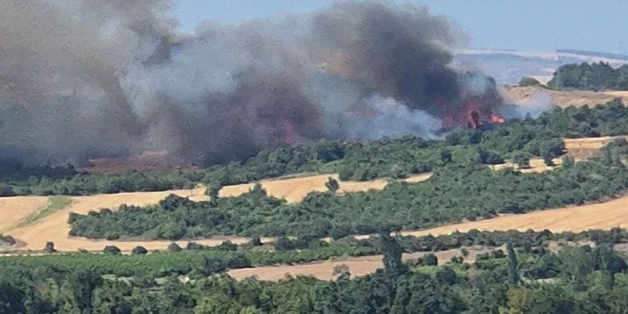 Çanakkale'de orman yangını çıktı