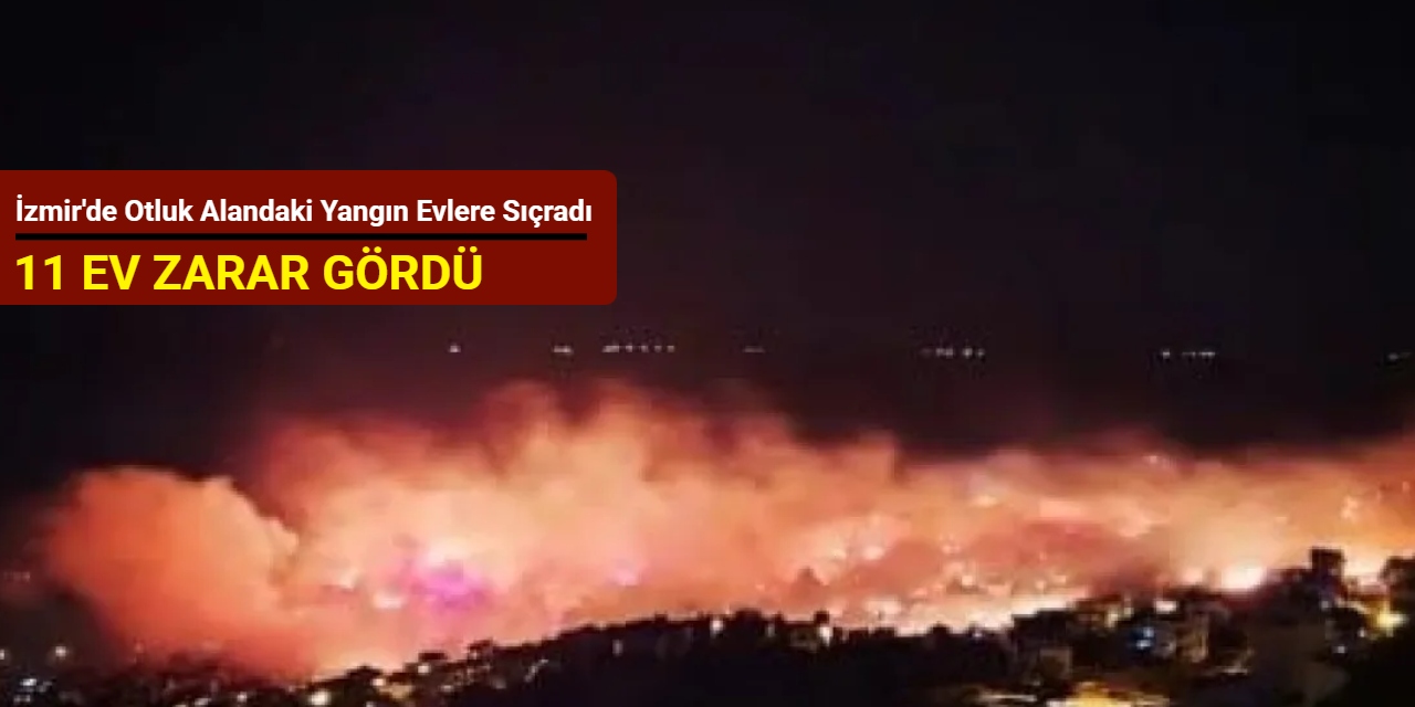 İzmir'de otluk alandaki yangın evlere sıçradı: 11 ev zarar gördü