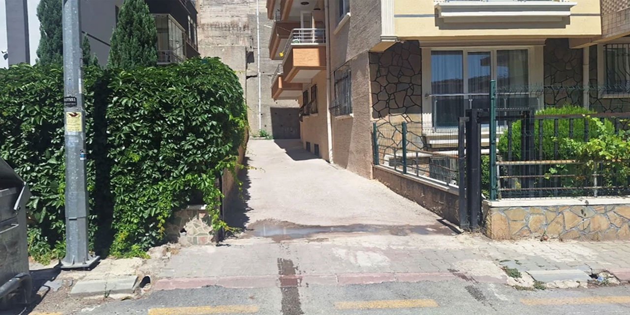 Ankara'da polis memuru sokak köpeğini tabancayla vurdu