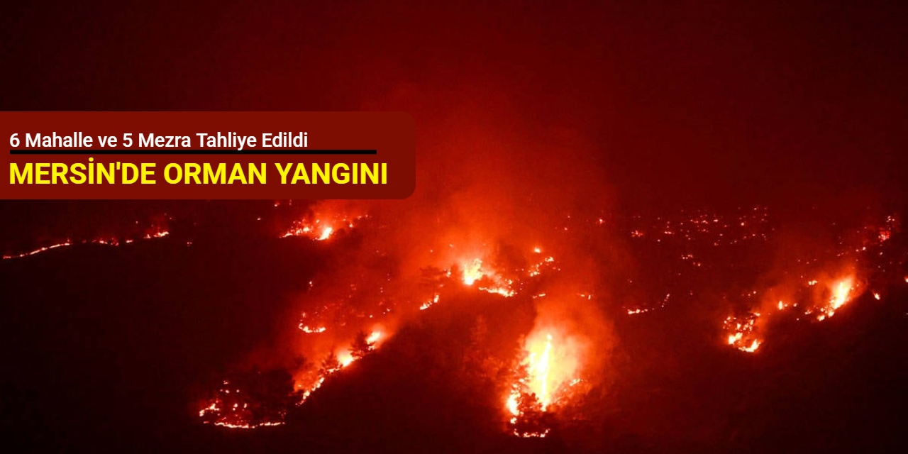 Mersin'de orman yangını: 6 mahalle ve 5 mezra tahliye edildi
