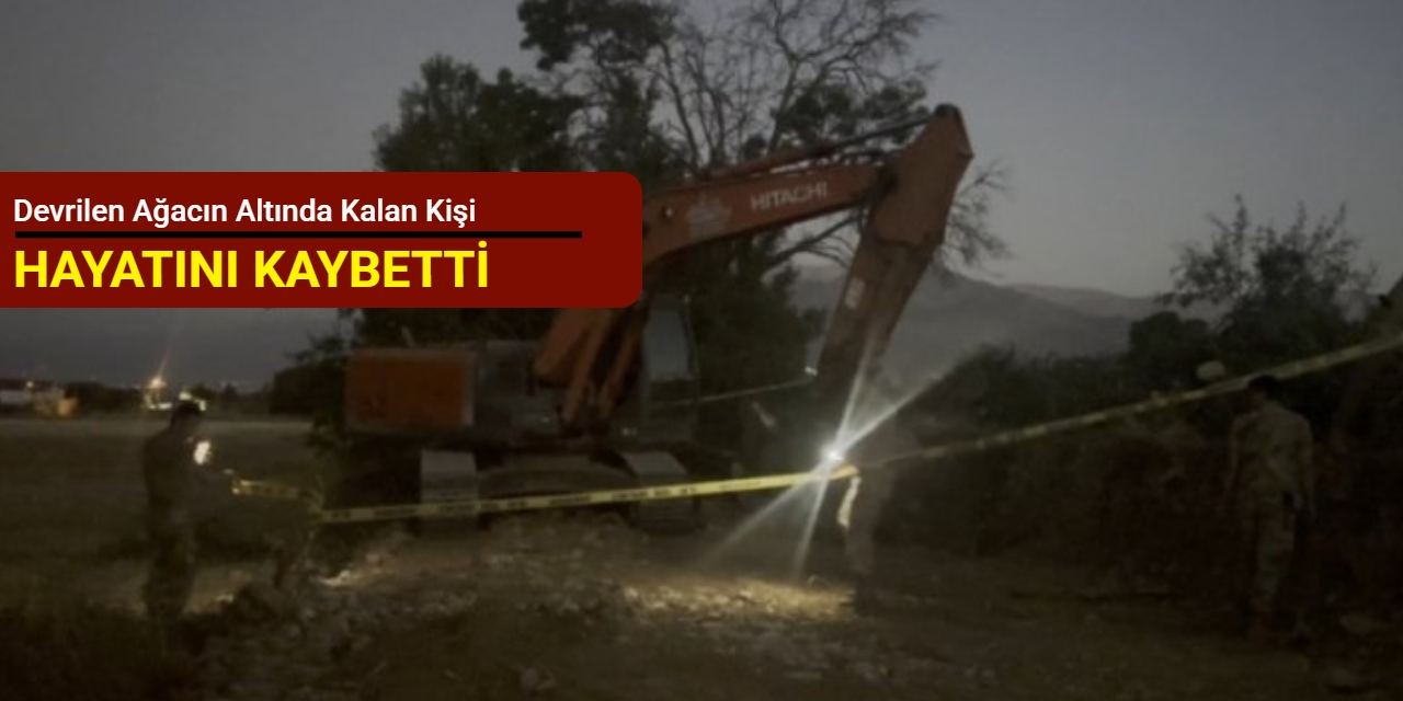 Kanal çalışması sırasında devrilen ağacın altında kalan kişi hayatını kaybetti