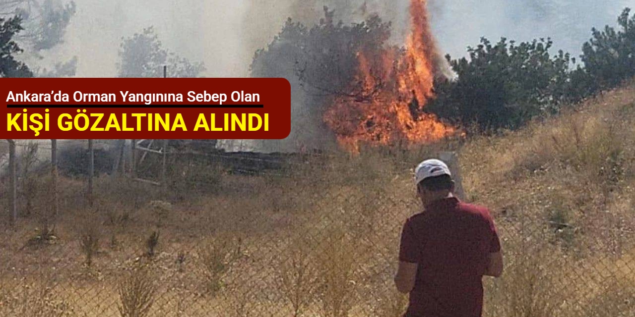 Ankara’da orman yangınına sebep olan kişi gözaltına alındı