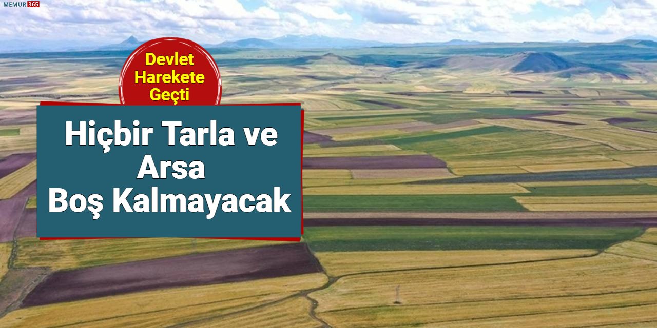 Tarla ve arsası olanlar dikkat: Devlet harekete geçti