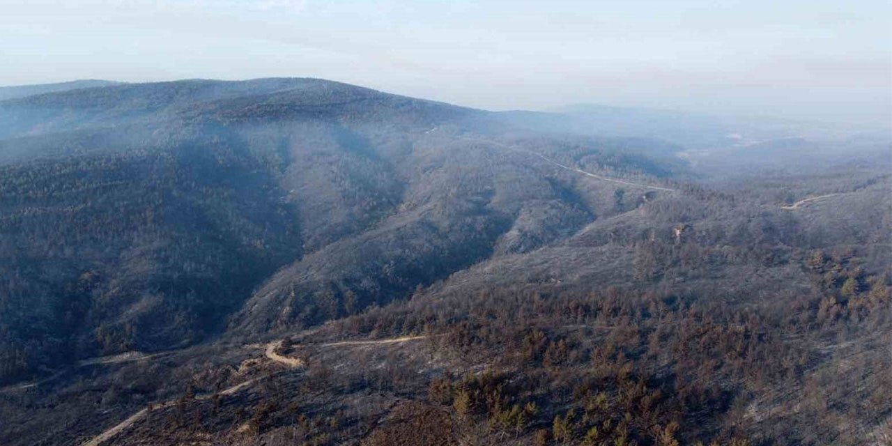Çanakkale'de orman yangını çıktı: Müdahale devam ediyor