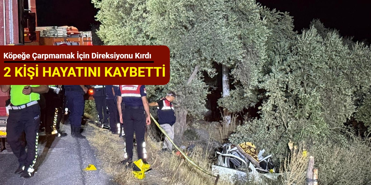 Köpeğe çarpmamak için direksiyonu kırdı: 2 kadın hayatını kaybetti