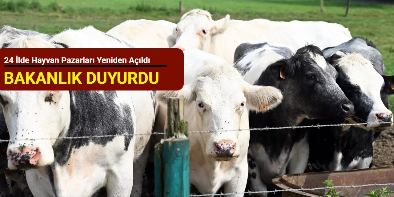 Bakanlık duyurdu: 24 ilde hayvan pazarları yeniden açıldı