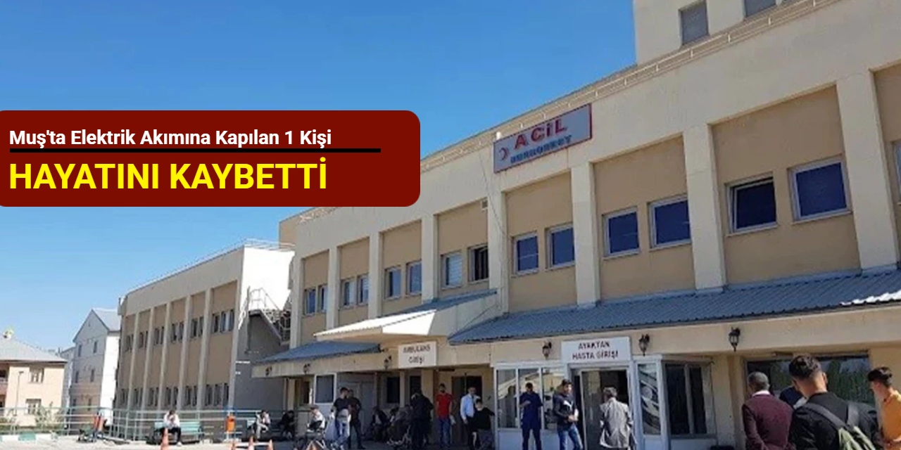 Muş'ta elektrik akımına kapılan 1 kişi hayatını kaybetti