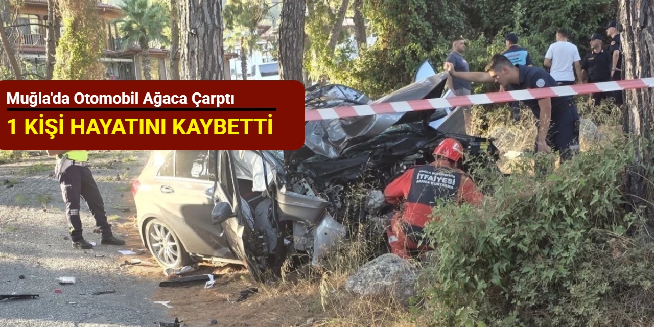 Muğla'da otomobil ağaca çarptı: 1 kişi hayatını kaybetti
