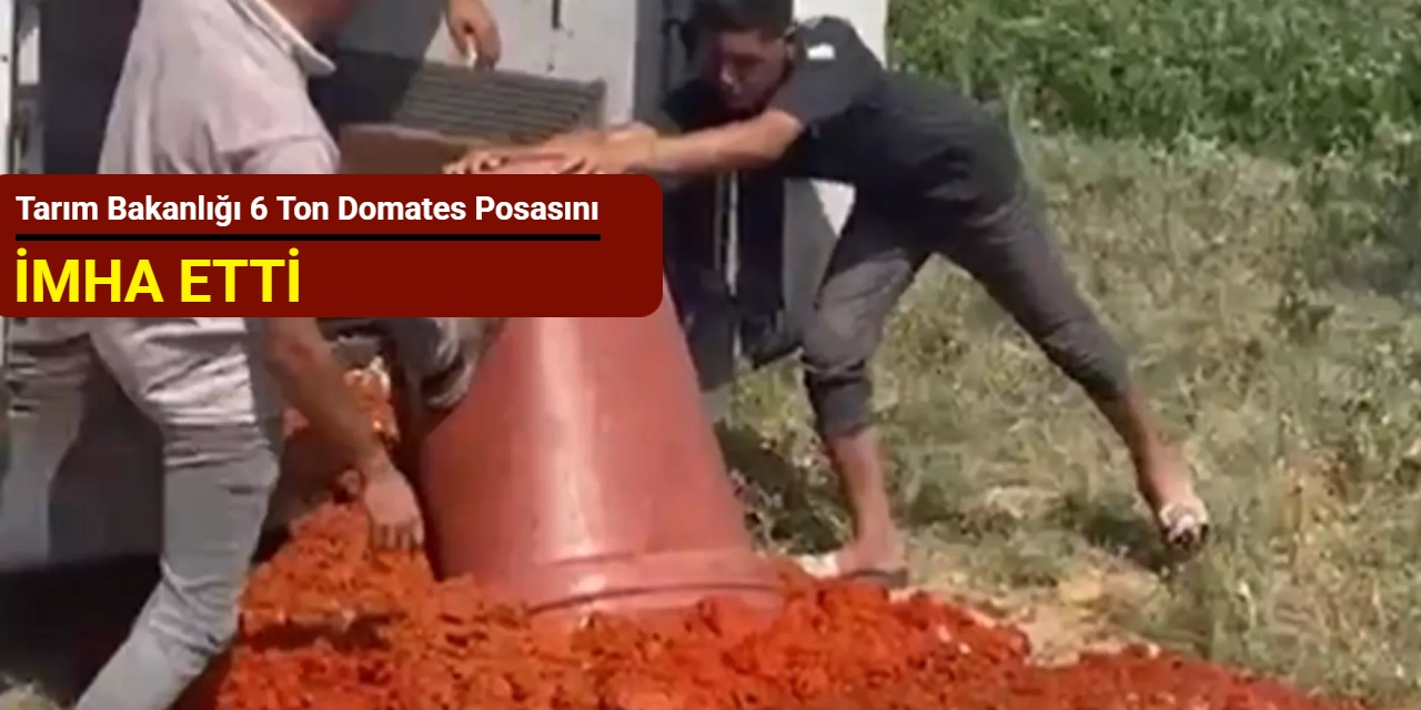 Hatay'da salça operasyonu: Tarım Bakanlığı 6 ton domates posasını imha etti