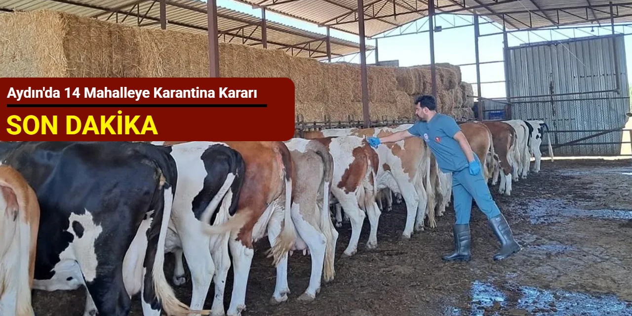 Aydın'da 14 mahalleye karantina kararı