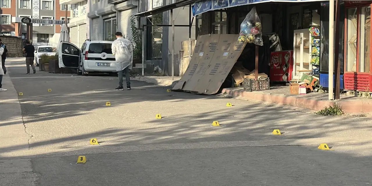 Van'da saldırıya uğrayan 2 kardeş hayatını kaybetti