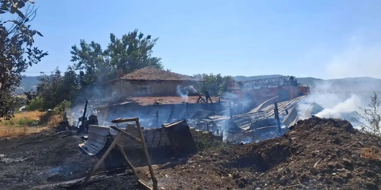 Manisa'da ahır yangını: 21 koyun telef oldu