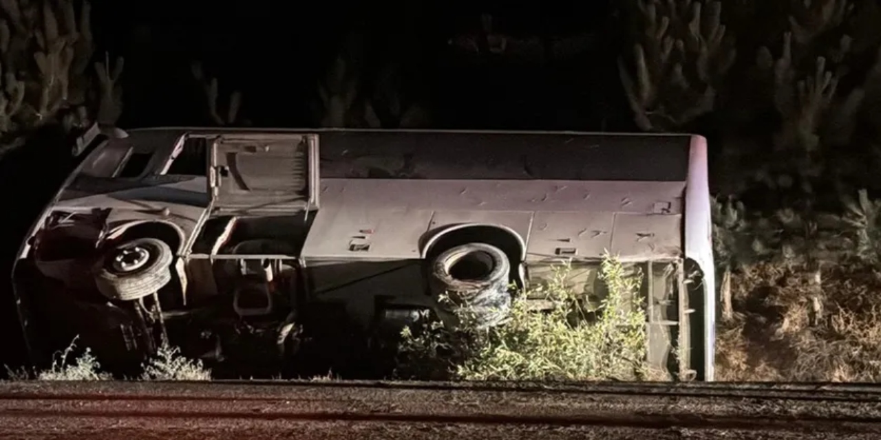 Midibüs ağaçlık alana devrildi: 12 kişi yaralandı