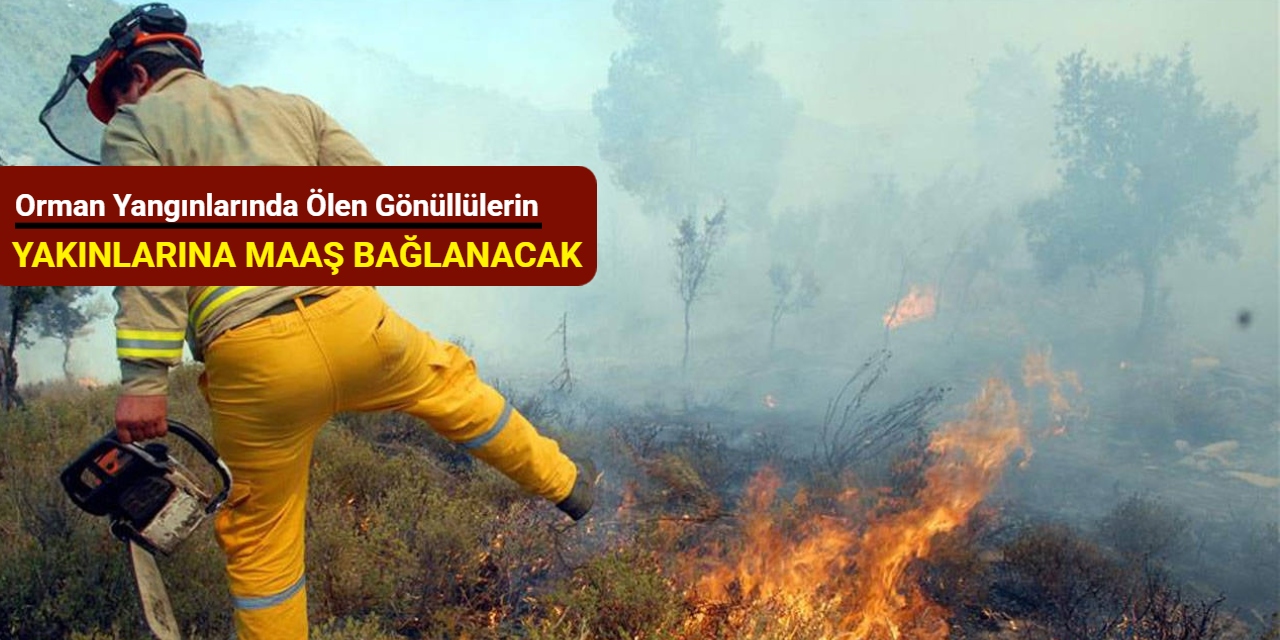 Orman yangınlarında ölen gönüllülerin yakınlarına maaş bağlanacak