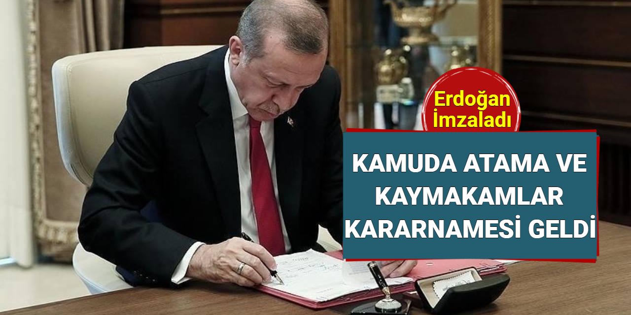 Kamuda atama ve kaymakamlar kararnamesi yayınlandı 3 Kasım 2024