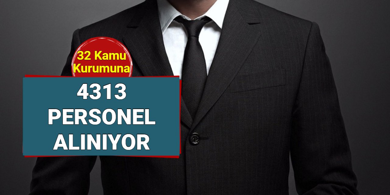 32 kuruma 4313 kamu personel alımı başvuru tarihleri