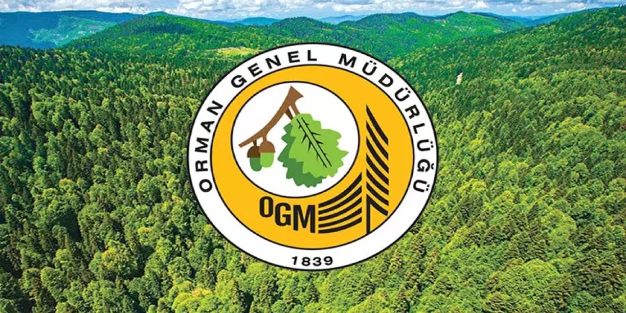 Orman Genel Müdürlüğü daimi 262 işçi alımı başvurusu başladı