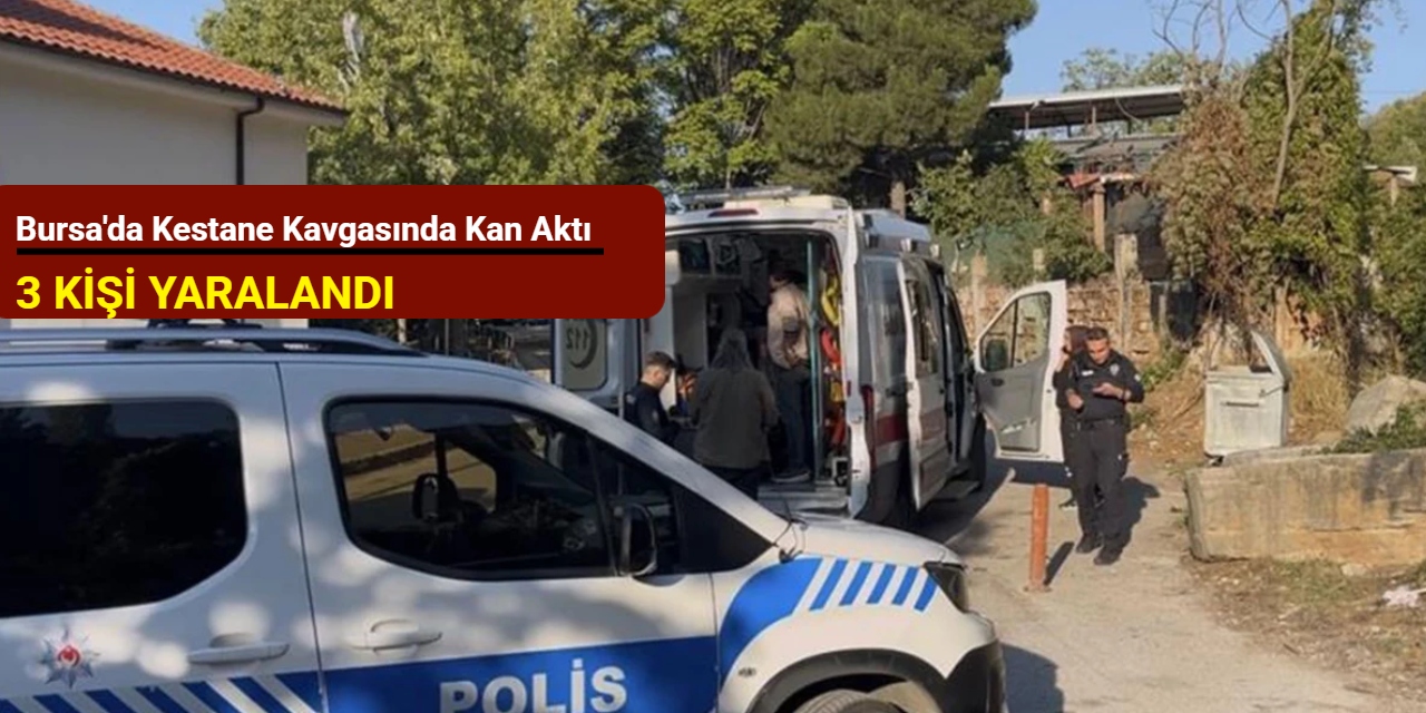 Bursa'da kestane kavgasında kan aktı: 3 kişi yaralandı