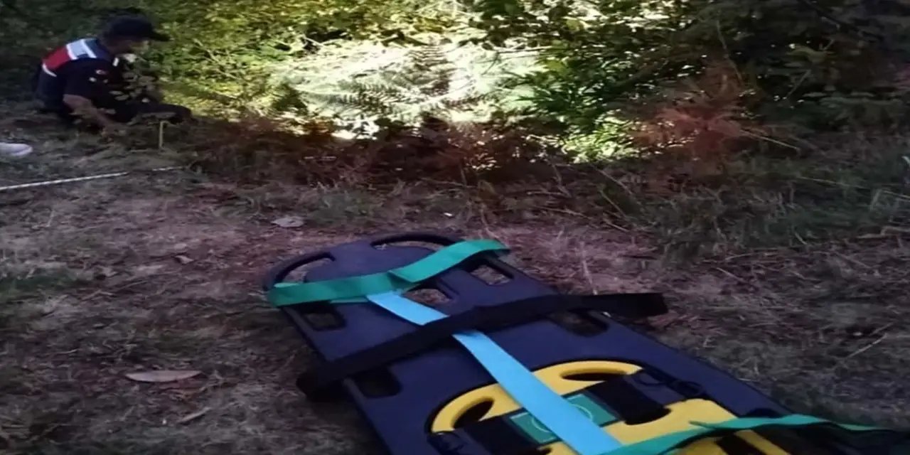 Trabzon'da uçurumdan düşen polis memuru hayatını kaybetti