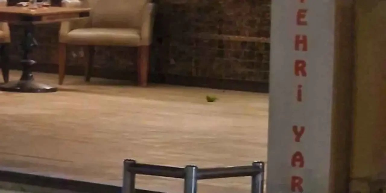 Adana'da bir kişi pastaneye el bombası atıp kaçtı