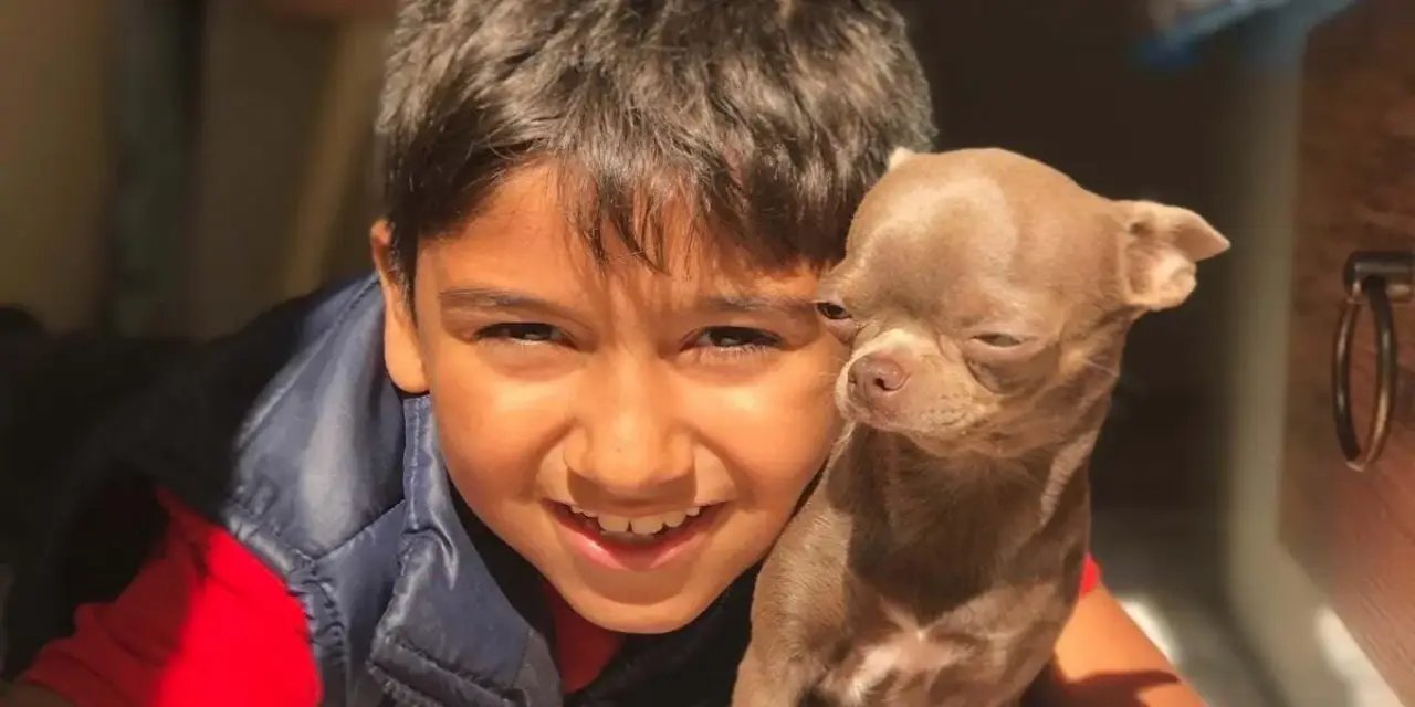 CHP'li Bozbay'ın çarptığı 12 yaşındaki çocuk hayatını kaybetti