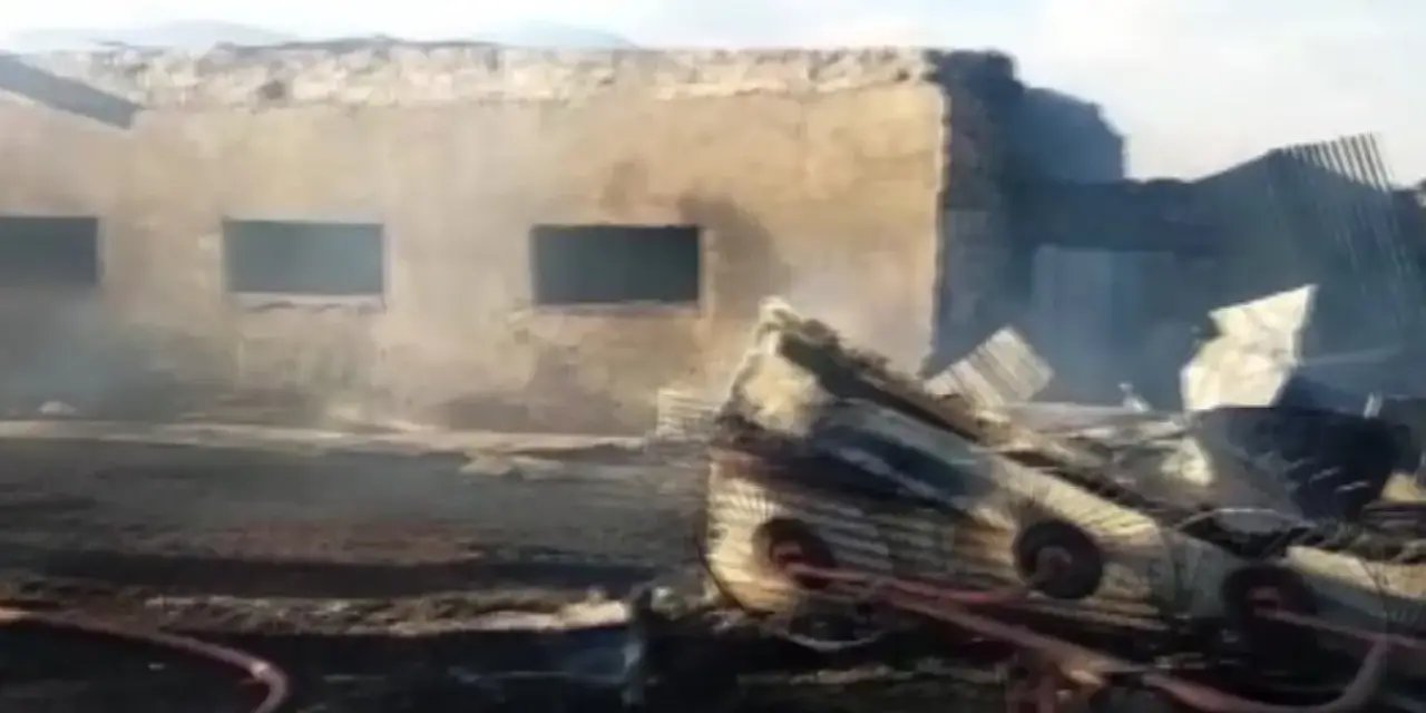 Ardahan'da ahırda yangın çıktı: 23 hayvan telef oldu