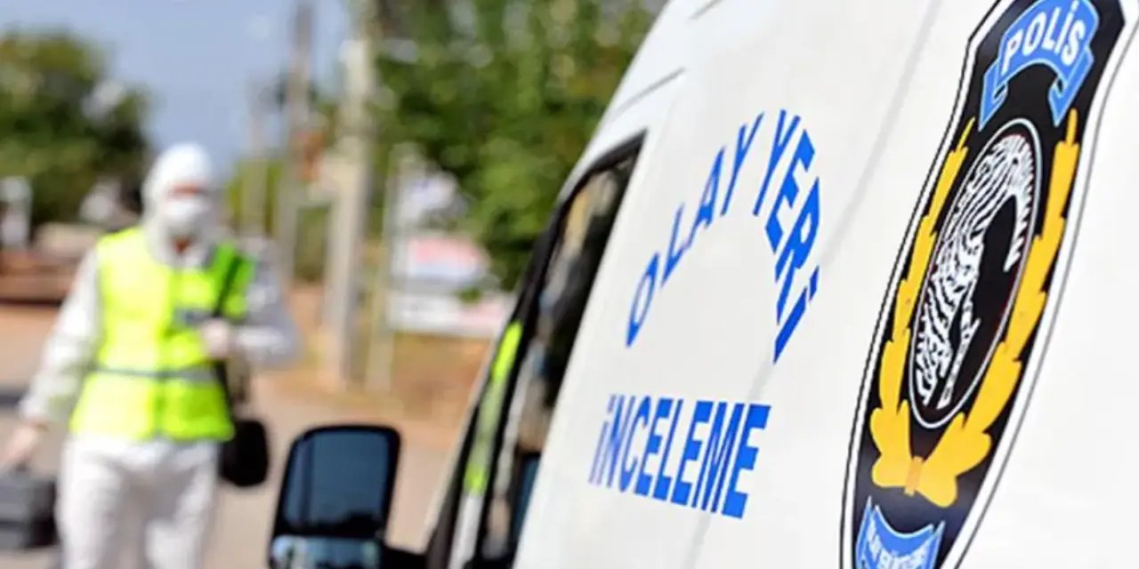 Ceviz toplarken ağaçtan düşen adam ağır yaralandı