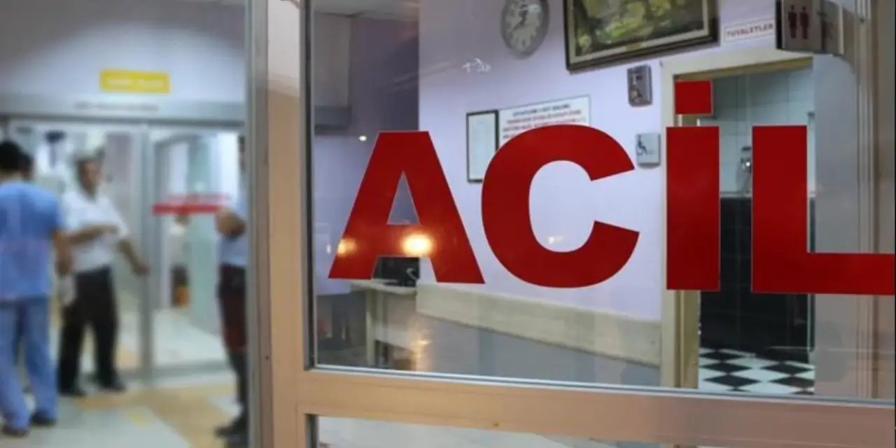 Aydın'da mantar zehirlenmesi: 1 kişi hayatını kaybetti