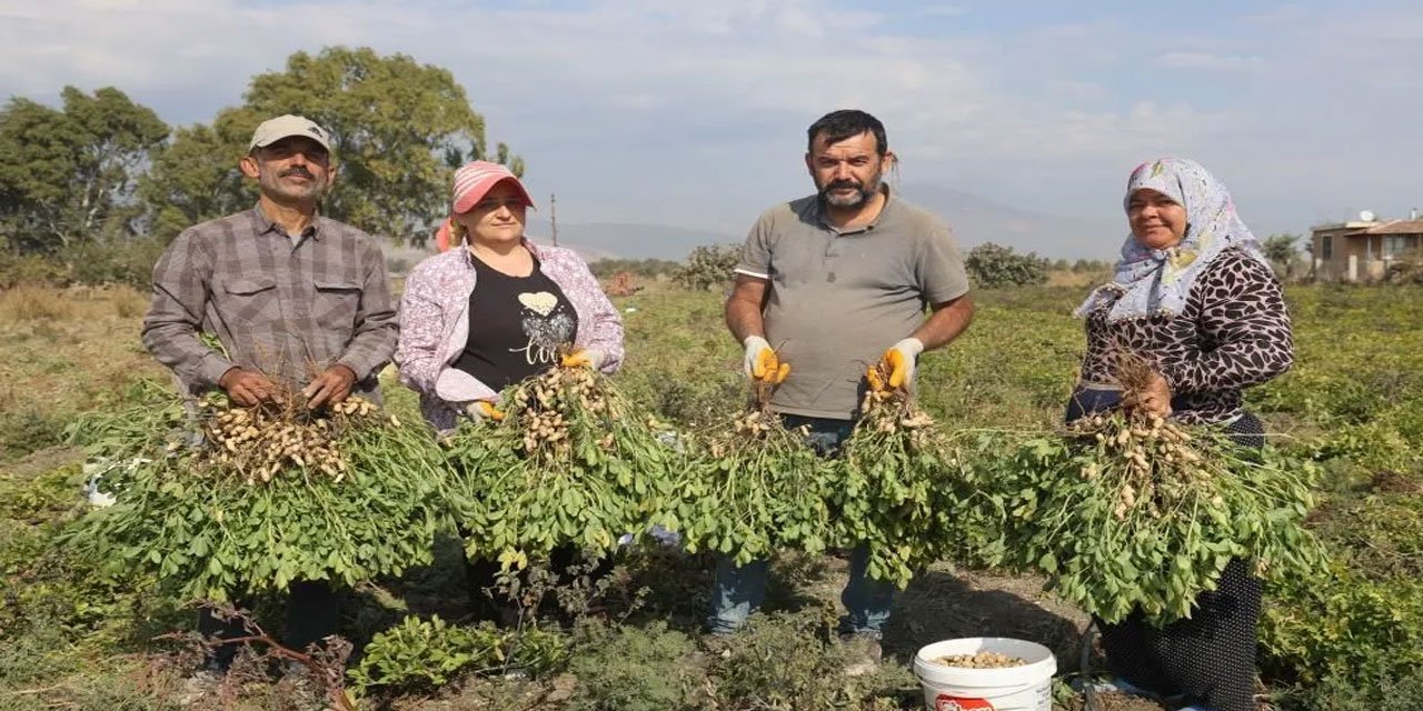 Üretici açıkladı: Günlük 1.200 TL'ye işçi bulamıyoruz