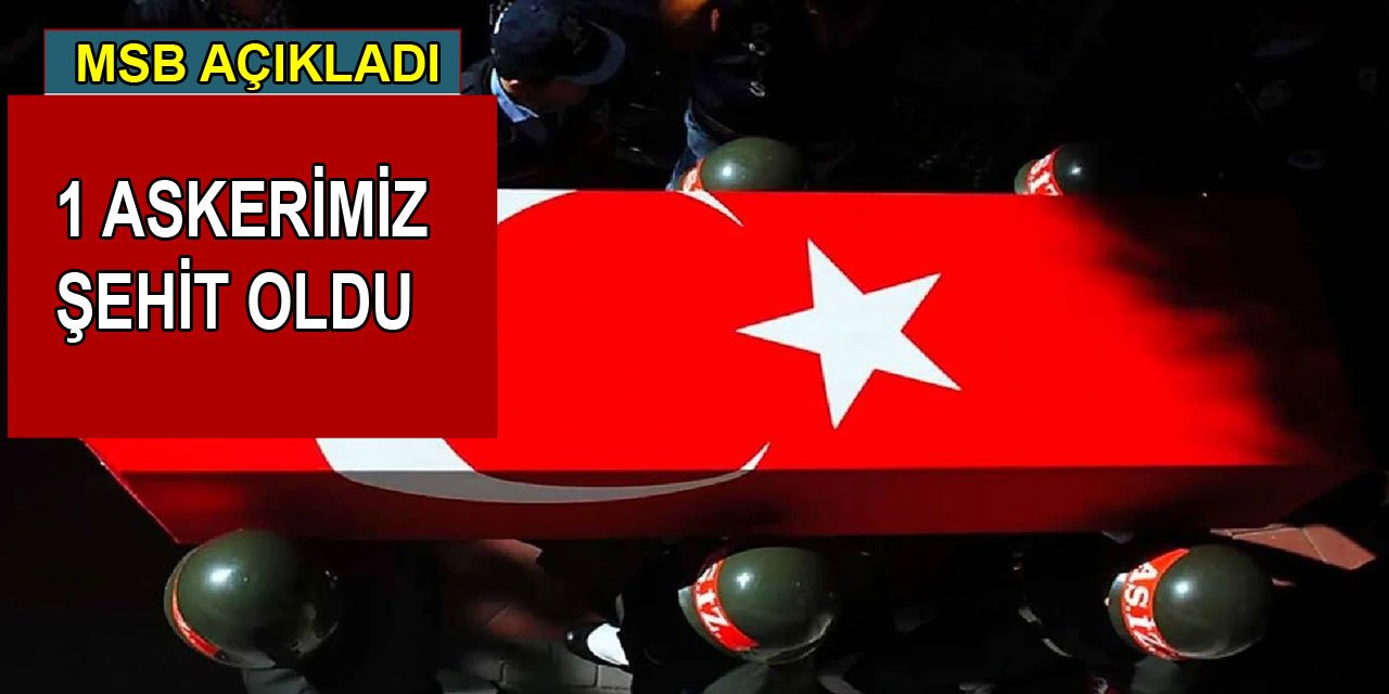 Milli Savunma Bakanlığı 1 askerin şehit olduğunu açıkladı