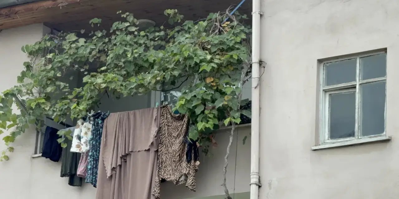 Samsun'da evde doğum yapan bir kadın bebeği çöpe atma nedeniyle tutuklandı