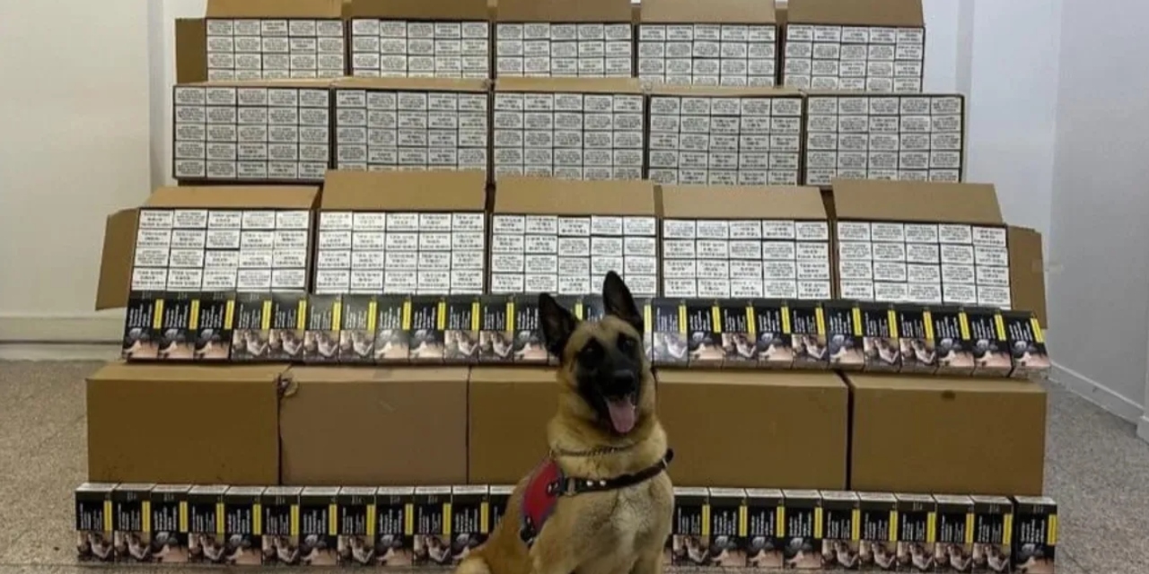 Tokat’ta 1 milyon adet bandrolsüz makaron ele geçirildi