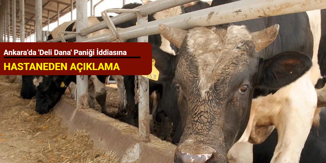 Ankara’da 'deli dana' paniği iddiasına hastaneden açıklama