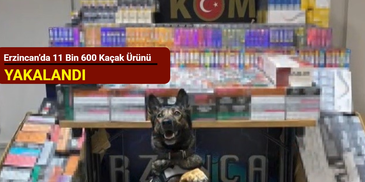Erzincan’da 11 bin 600 kaçak ürünü yakalandı