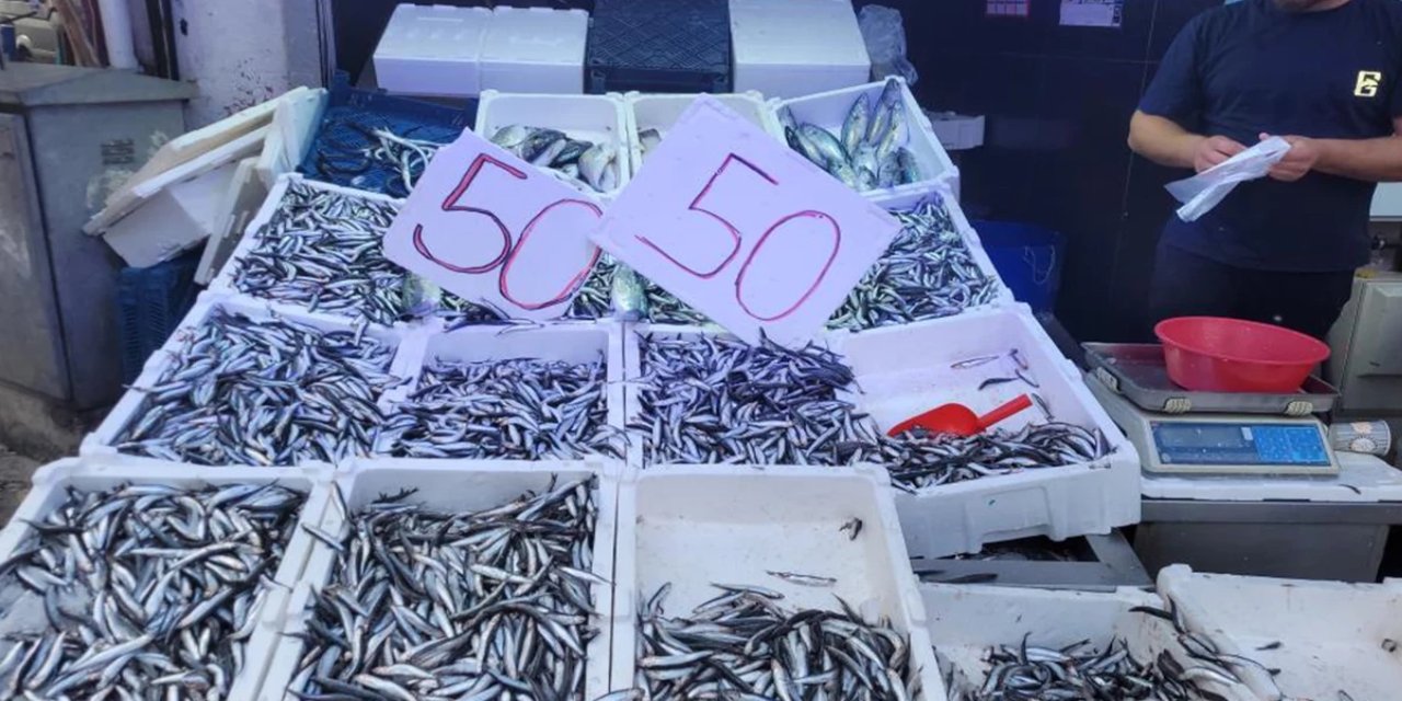 Hamsi 50 liraya kadar düştü