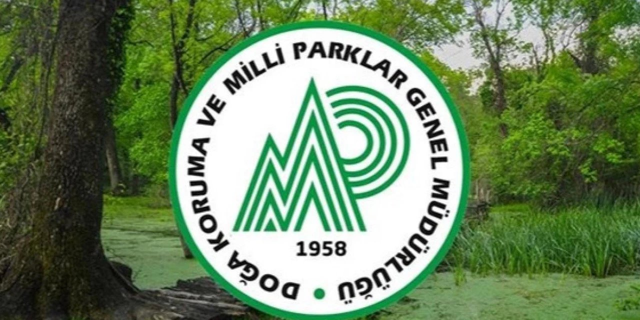 Doğa Koruma ve Milli Parklar 240 personel alımı başvuru sonuçları açıklandı