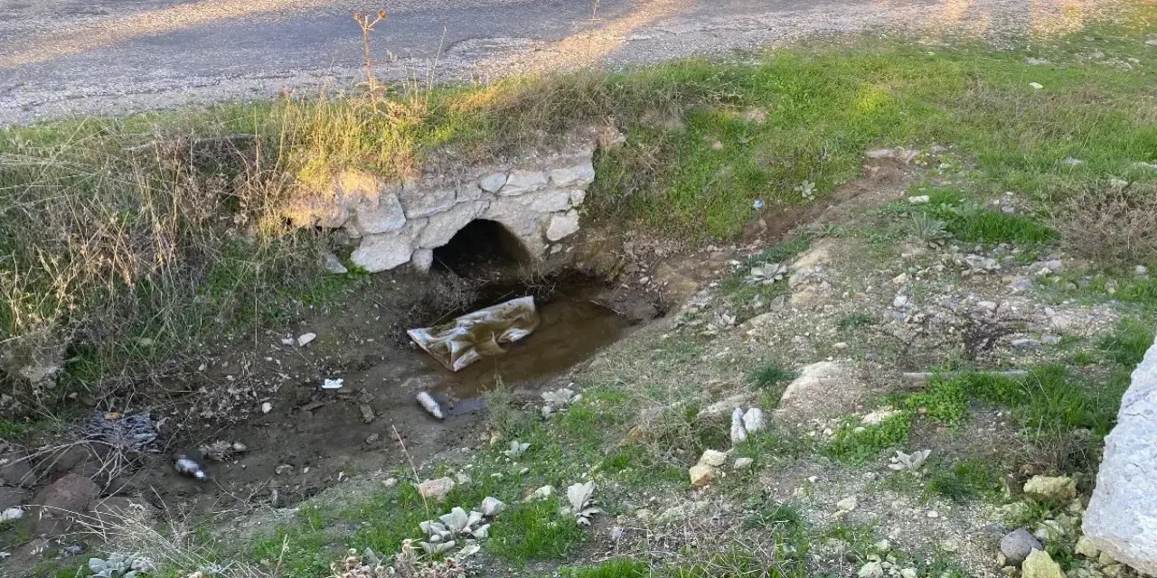 Çanakkale'de boş arazide yeni doğmuş bebek cesedi bulundu
