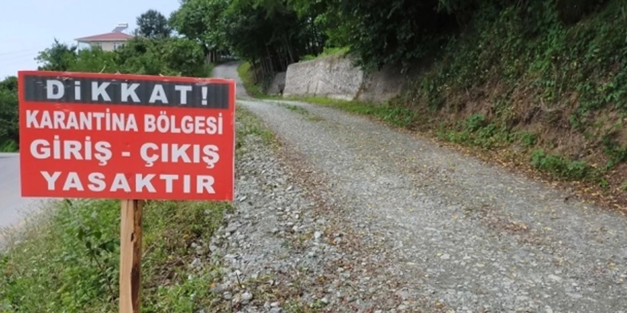 Bolu'da şap hastalığı alarmı: Çok sayıda köy ve mahalle karantinaya alındı