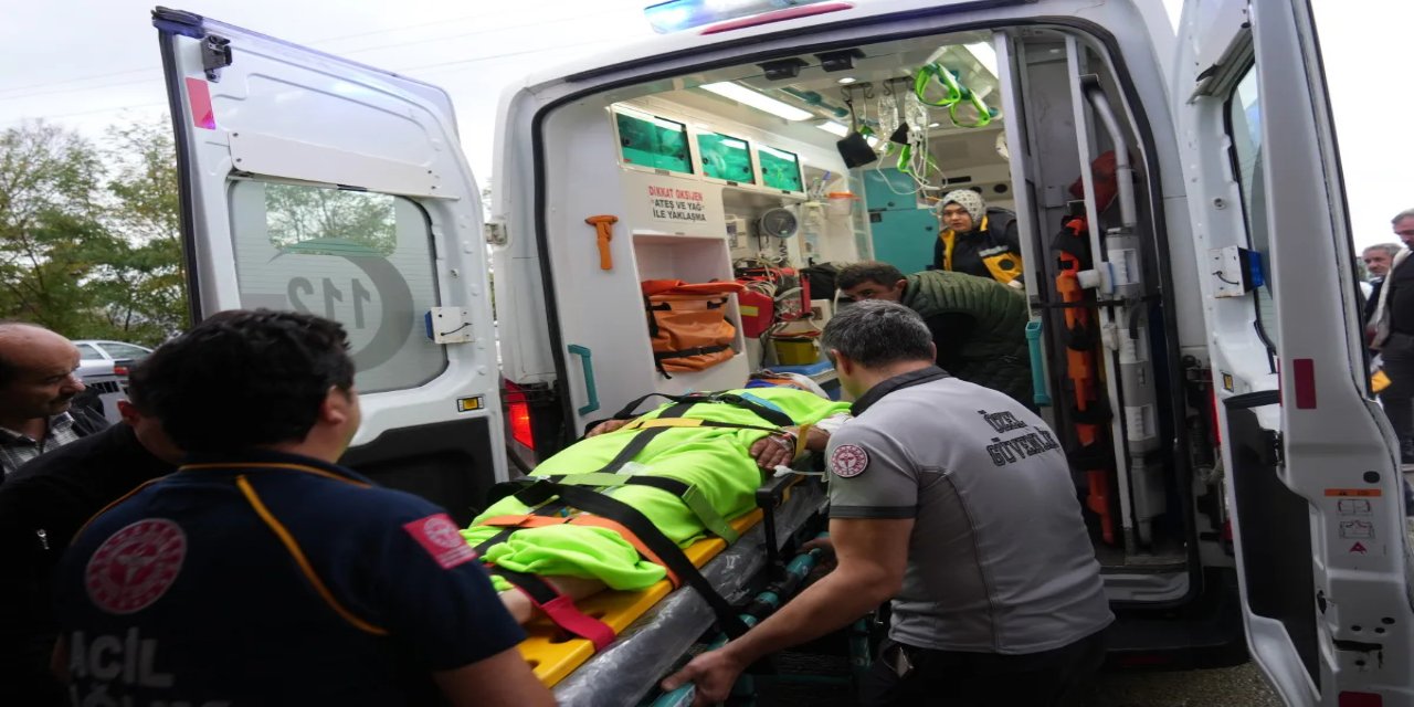 Kastamonu'da mantar toplayan bir kişiye ayı saldırdı