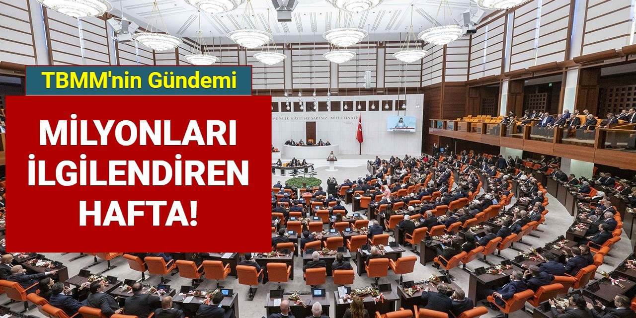 TBMM'de milyonları ilgilendiren hafta: İşte meclis gündemi