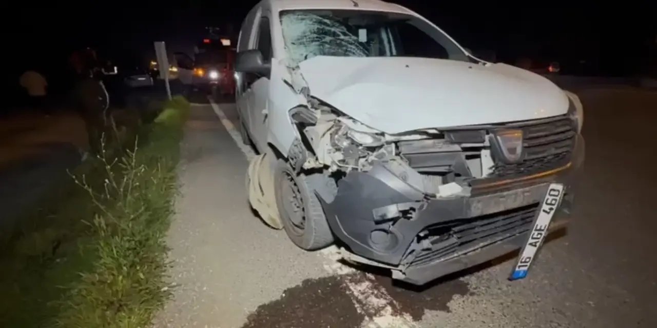 Karşıdan karşıya geçmek isteyen yaşlı kadın hayatını kaybetti