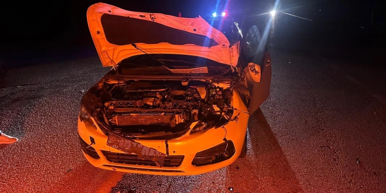 Çorum'da otomobil danaya çarptı: İki yaralı