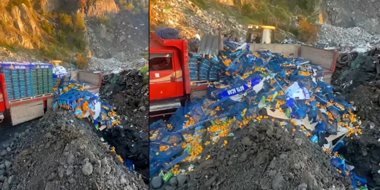 Sarp Sınır Kapısı'nda 6 ton mandalina imha edildi