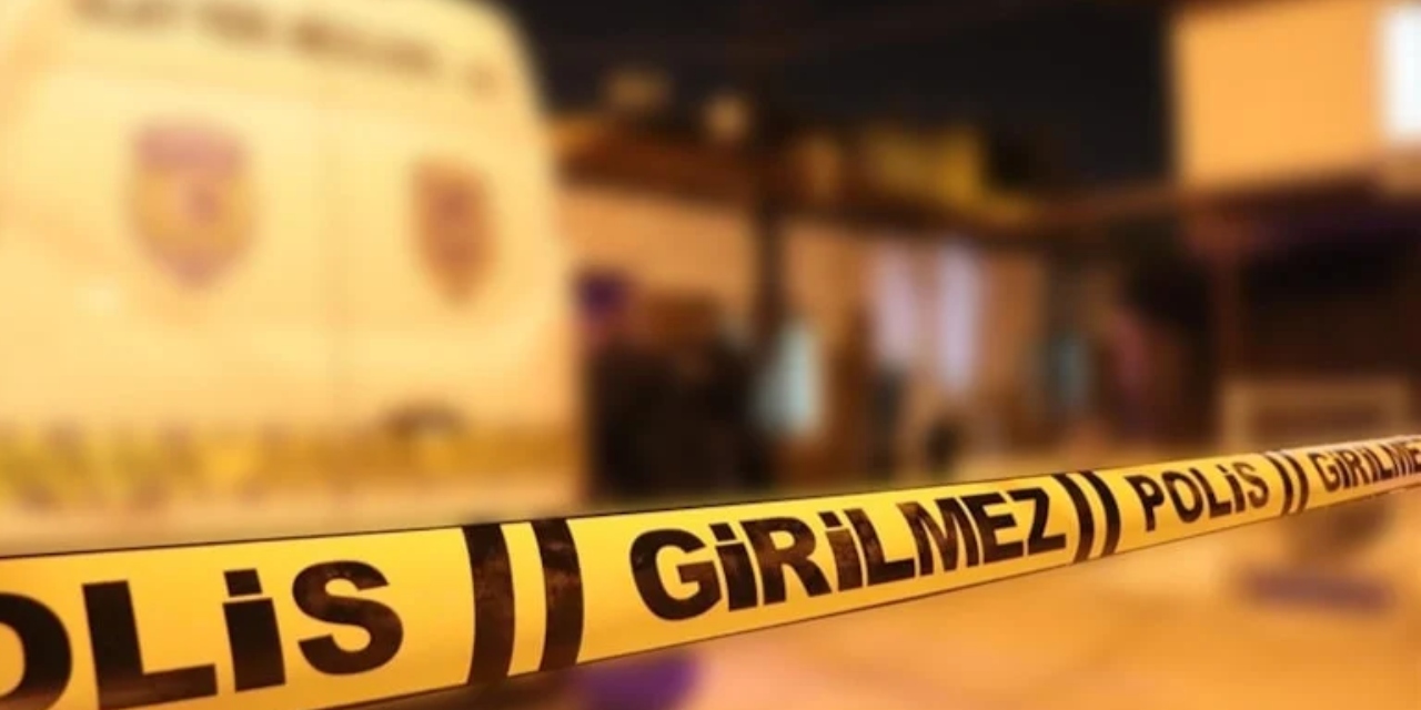 Otomobilin çarptığı yaşlı adam hayatını kaybetti