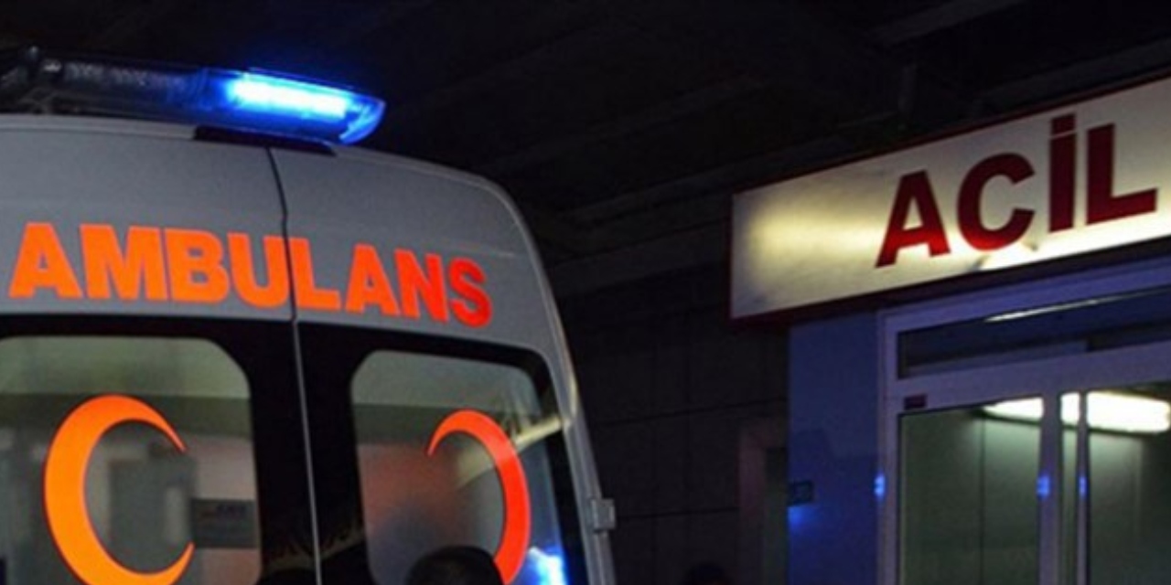 Yola fırlayan yaban hayvanı kazaya neden oldu: Çok sayıda yaralı var