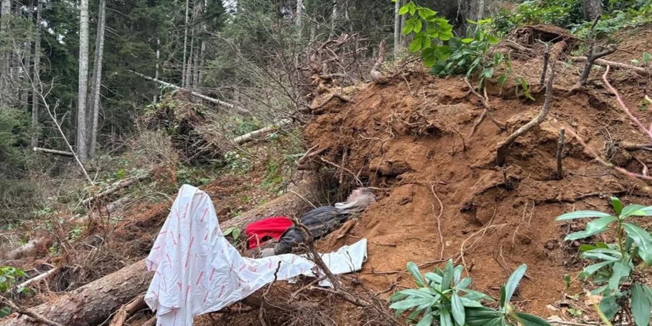 Trabzon'da kestiği ağacın altında kalan adam hayatını kaybetti