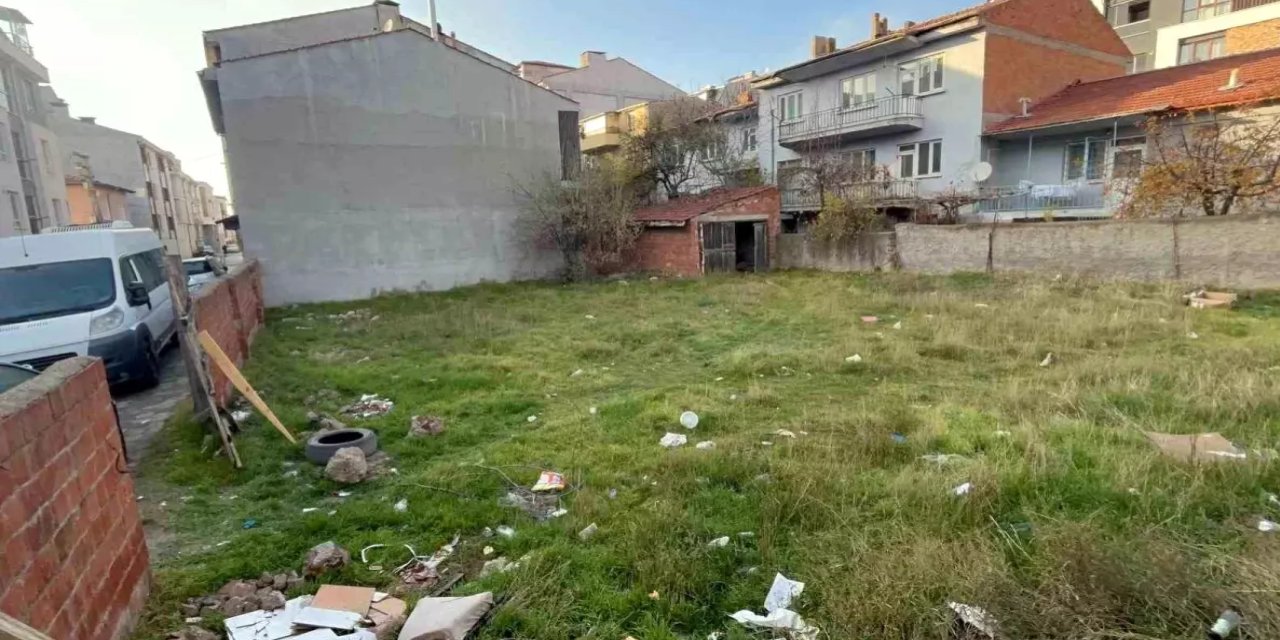 Eskişehir'de boş bir arsada 8 kedi ölüsü bulundu