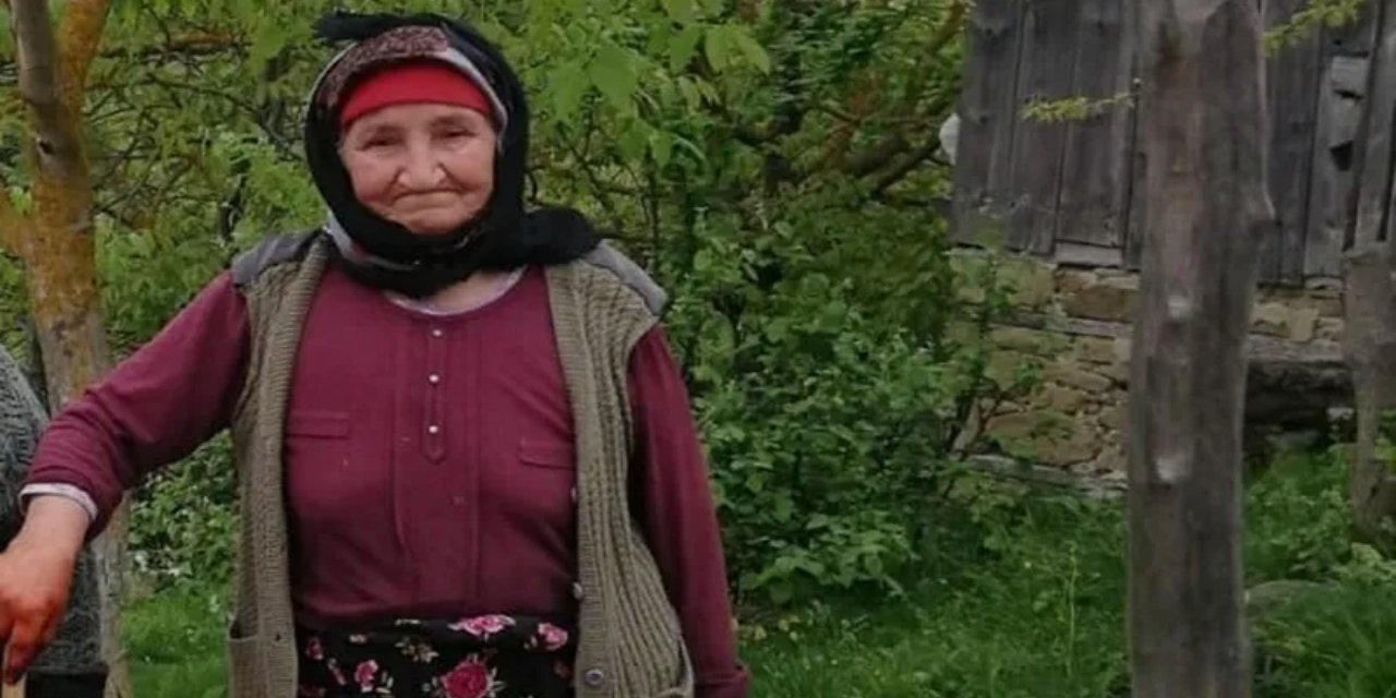 Çanakkale'de kayıp olarak aranan yaşlı kadın sulama havuzunda ölü bulundu